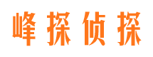 鸠江市婚外情调查